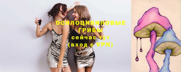молекула духа Алзамай
