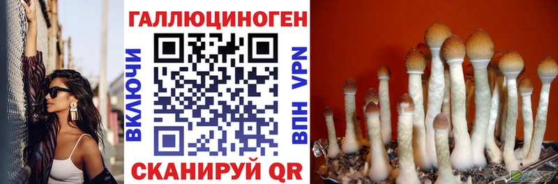 Псилоцибиновые грибы мицелий  купить наркоту  Кинель 