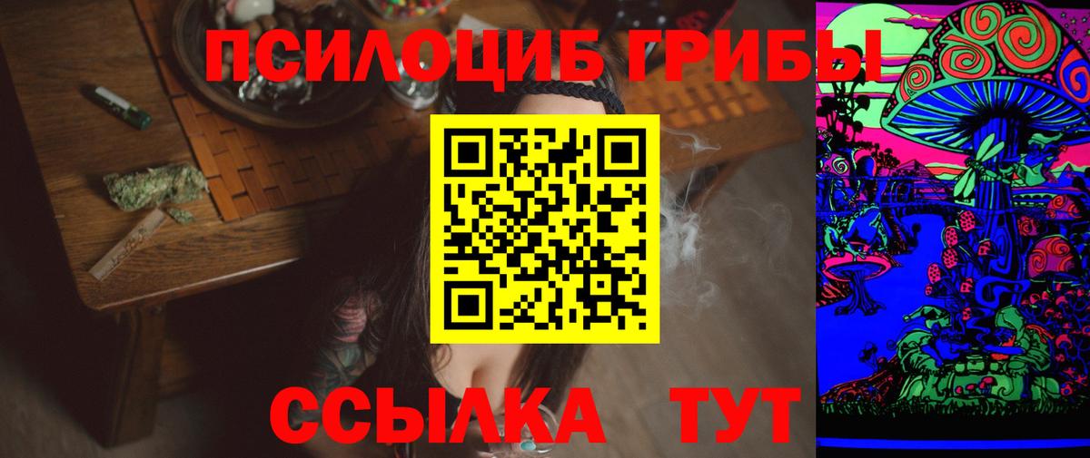 Кинель  Псилоцибиновые грибы MAGIC MUSHROOMS  где купить наркотик  Вход с VPN 