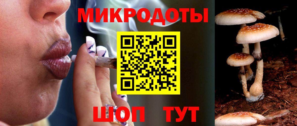 Псилоцибиновые грибы мицелий Кинель